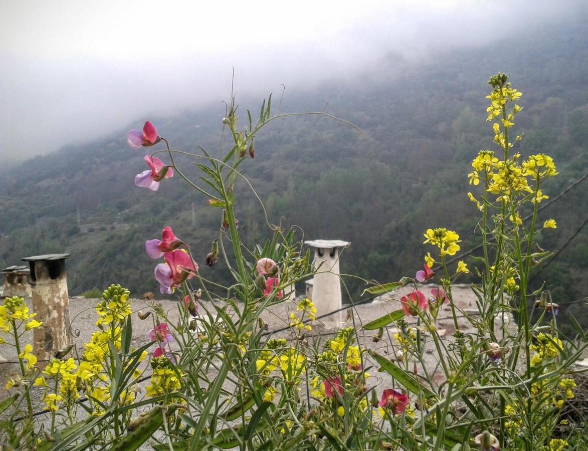 Appartamento Casa Martina Pampaneira Esterno foto