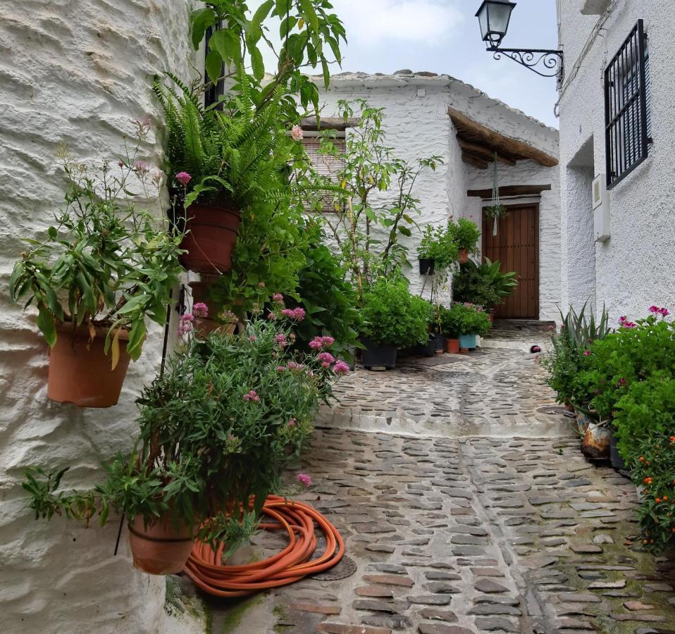 Appartamento Casa Martina Pampaneira Esterno foto